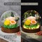 Gifts for Her Preserved Flower Rose in Glass Dome (Champagne Gold) 5"D x 5"W x 5.5"H